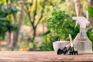 Planting trees in pots, love plants and the environment concept photo