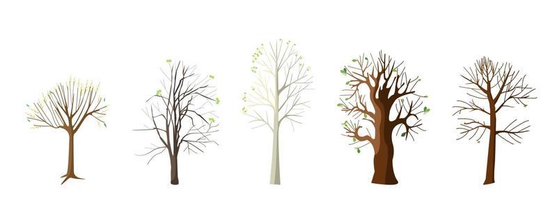 Flat collection with spring trees