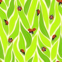 Ladybug seamless pattern for decoration design vector