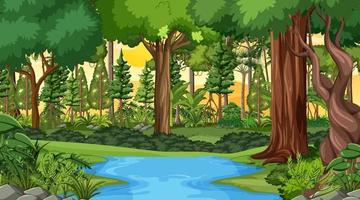 escena del paisaje forestal al atardecer con muchos árboles diferentes vector