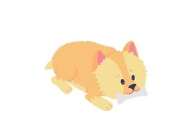 Terrier puppy chewing bone flat color vector detailed character