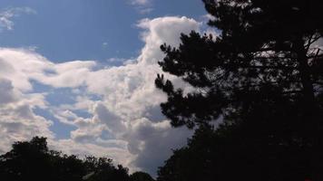 Wolken und die dunklen Bäume video