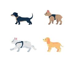 Conjunto de caracteres detallados de vector de color plano de diferentes razas de perros