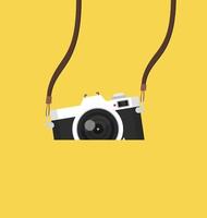 vintage camera hanging vector background