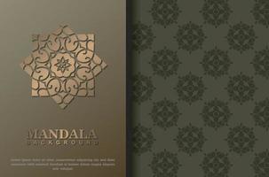 Premium Luxury mandala background concept vector