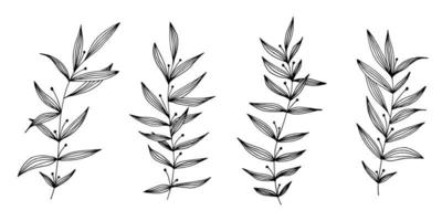 Vector hand drawn set of various silhouette branches with leaves on the white background. Elements design for fabric, wrapping paper and web.