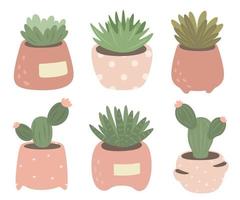 Collection of cacti and succulents in pots. Vector isolates on a white background