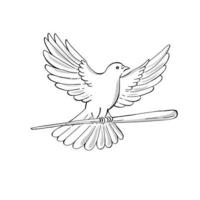 Pigeon or Dove Flying With Cane Drawing vector