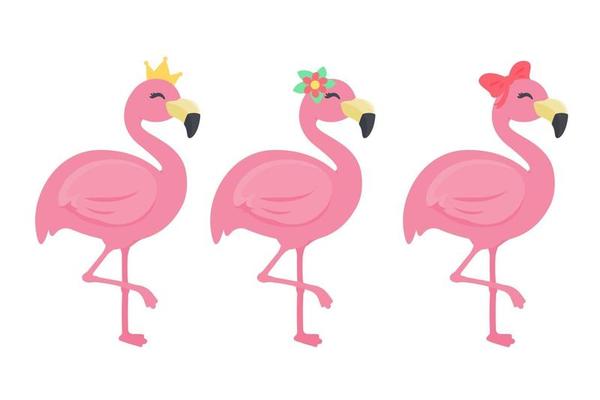 Beautiful Summer Flamingo Set
