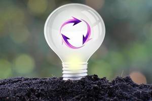 Energy saving light bulb and business or business growth concept photo