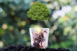 Tree growing from a tree, business growth concept photo