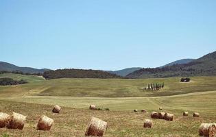 Hay bales in a field photo