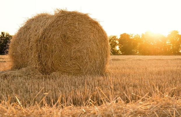 un fardo de paja de trigo en un campo agrícola 2188795 Foto de stock en  Vecteezy