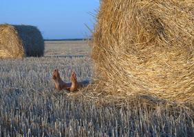 Legs of a person lying down from behind a bale of straw on a farm field photo