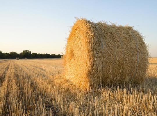 un fardo de paja de trigo en un campo agrícola 2188793 Foto de stock en  Vecteezy