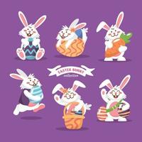 Cute Easter Bunny Collection vector