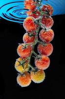 A branch with red cherry tomatoes with green leaves covered with gas bubbles of mineral water