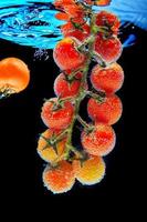 Branch with red cherry tomato with green leaves covered with gas bubbles