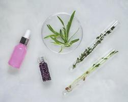 Cosmetic skincare background of Petri dishes and cosmetic tubes of herbal medicine with green leaves and petals