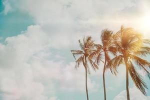 Tropical palm coconut trees on a blue sky with sun flare photo