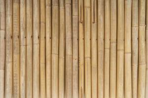 Fondo de textura de pared de bambú largo