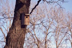 una casita para pájaros en un árbol en un día soleado foto