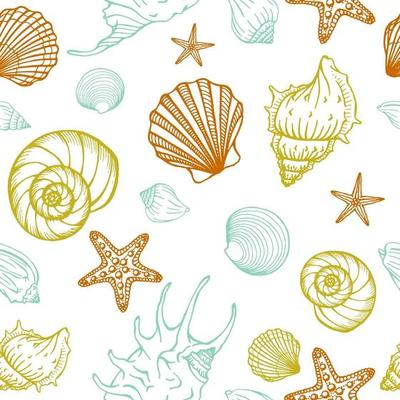 Seamless pattern with seashells, starfishes. Marine background.  Hand drawn vector illustration in sketch style. Perfect for greetings, invitations, coloring books, textile, wedding and web design.