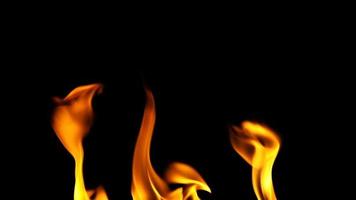 Feuer brennende Flammen auf schwarzem Hintergrund video