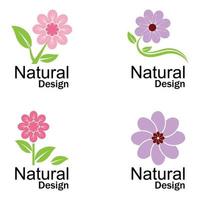 Beauty plumeria icon flowers design illustration Template vector