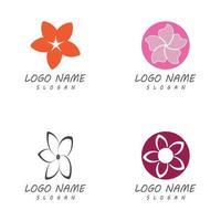 Beauty plumeria icon flowers design illustration Template vector