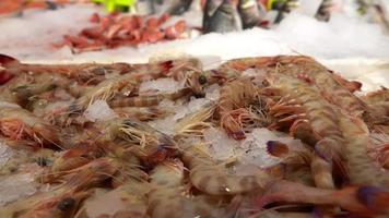 Garnelen auf Eis im Fischladen video