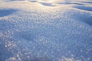Snow with ice crystals in the cold photo