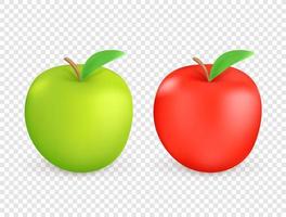 Red and green apples isolated vector