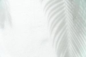 Papel Blanco Textura De Fondo Con Patrón De Sombras Suaves Y De Color Verde  Claro En Las Esquinas Fotos Retratos Imágenes Y Fotografía De Archivo  Libres De Derecho Image 22389667