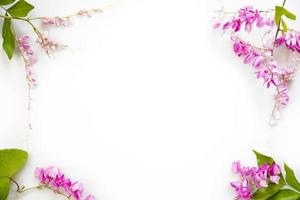 Frame of pink flowers with green leaves isolated on white background photo