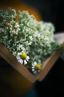 Close up of open book with wildflowers photo