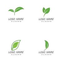 Leaf nature logo templates vector