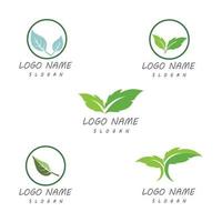 Leaf nature logo templates vector