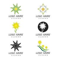 plantillas de logotipos de flores vector