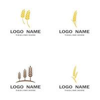 Agriculture wheat vector icon design