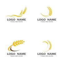 Agriculture wheat vector icon design