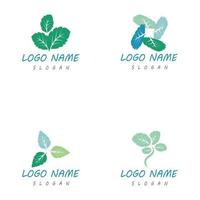 Mint leaf logo template vector