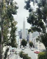 Transamerica pyramid in San Francisco, USA photo