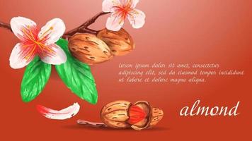 Watercolor banner or landing page with almond and branch