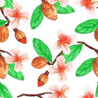 Watercolor seamless pattern with almonds and branches vector