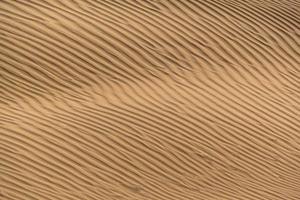 Beautiful sand dune in Thar desert, Jaisalmer, Rajasthan, India. photo