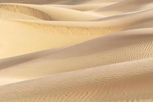 hermosa duna de arena en el desierto de thar, jaisalmer, rajasthan, india. foto