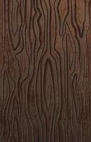 Dark Wood Texture Background vector