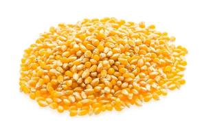 semilla de mazorca de maíz foto