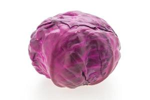 Purple cabbage on white background photo